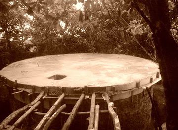 kenya/aberdare-national-park/shop/aberdare-forest