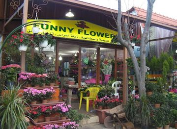 lebanon/jezzine/shop/fani-flowers-jezzine