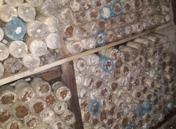 ghana/axim/shop/organic-farms