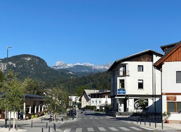 slovenia/bohinj/shop/flyfisher-s-friend