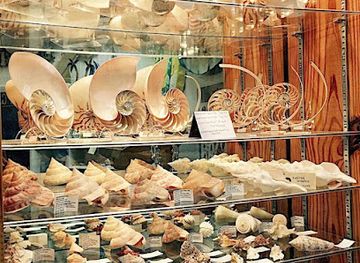 florida/marco-island/shop/shore-goods