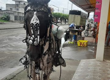 ecuador/southern-sierra/shop/tienda-los-georges