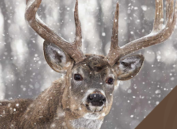 nebraska/indian-cave-state-park/shop/heartland-outdoors-llc