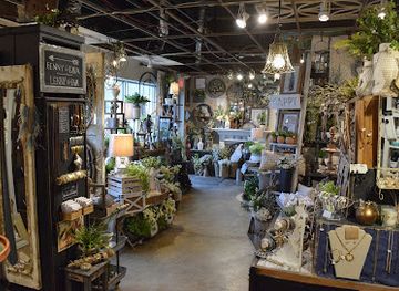 illinois/naperville/shop/nona-jo-s