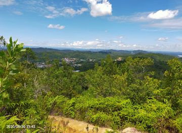 brunei/belalong-canopy-walkway/shop/gadong-night-market