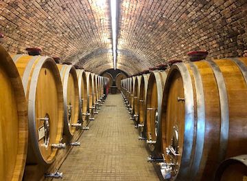 czechia/south-moravia/shop/penzion-andre