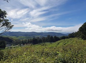 sri-lanka/hill-country/shop/hill-country-hiker