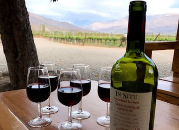 chile/valparaiso-region/shop/in-situ-family-vineyards