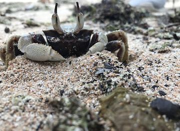 australia/magnetic-island/shop/eco-love-other-stuff