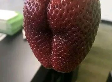 ghana/aburi/shop/sarah-s-kitchen