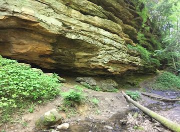 indiana/turkey-run-state-park/shop/shades-state-park