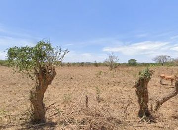 panama/chitre/shop/lacteos-finquita-pty