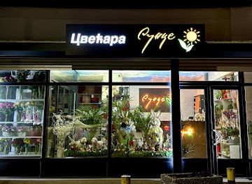 serbia/smederevo/shop/cvecara-sunce