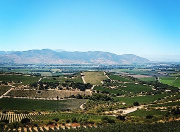 chile/aconcagua-valley/shop/vina-montgras