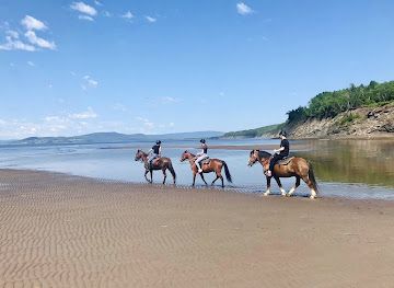 canada/forillon-national-park/shop/le-domaine-du-centaure