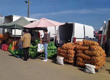 romania/brasov/stupini/shop/angro-stupini