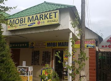 kyrgyzstan/cholpon-ata/shop/mobi-market
