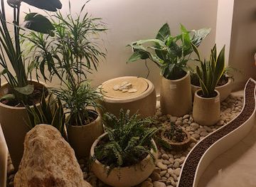 kuwait/hawalli/shop/jazmin-beauty-center