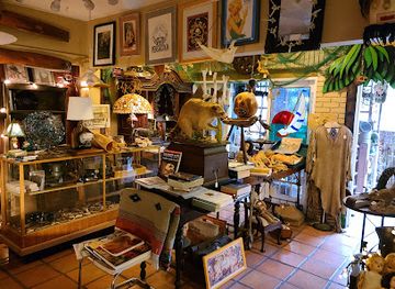 florida/clearwater/shop/oddities-and-antiques