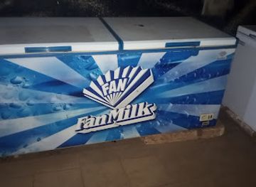 togo/mango/shop/fanmilk