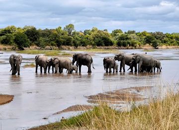 South Luangwa National Park