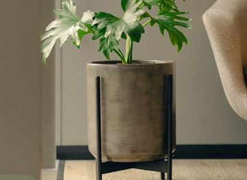 mauritius/black-river/shop/garden-boutique