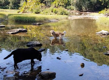 kentucky/big-south-fork-national-river-and-recreation-area/shop/big-south-park-station-camp-parking-lot