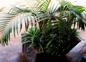 cameroon/bertoua/shop/raoul-shop