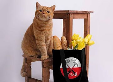 ohio/youngstown/shop/otherbrick