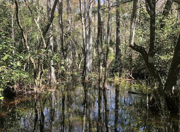 florida/fakahatchee-strand-preserve-state-park/shop/fakahatchee-strand