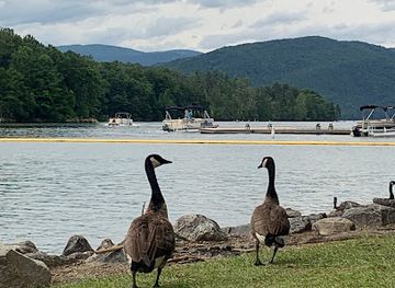 south-carolina/lake-jocassee/shop/lake-jocassee-devils-point-1-access