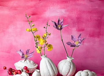 lithuania/vilnius-region/shop/story-by-nature-namu-interjero-detaliu-ir-dovanu-parduotuve