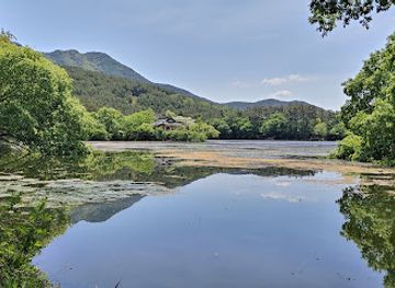 south-korea/miryang-valley/shop/wiyangji