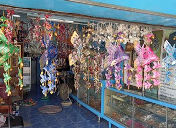 thailand/ayutthaya-province/shop/pla-ta-phian-bai-lan-pa-wan