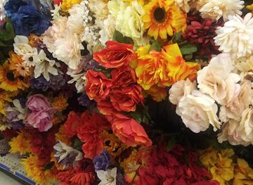 mississippi/clarksdale/shop/roses-express