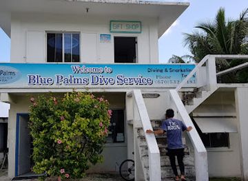 northern-mariana-islands/rota/shop/blue-palms-dive-service