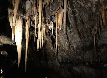 hungary/aggtelek-national-park/shop/aggtelek-national-park-directorate