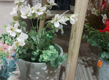 spain/avila/shop/cactus-regalos-y-complementos