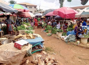 nigeria/owu-forest-reserve/shop/afor-igwe-umudioka