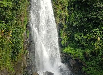 dominica/trafalgar-falls/shop/trafalgar-falls