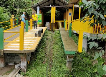 ecuador/mindo-cloud-forest/shop/tarabita-mindo-a-las-cascadas
