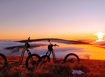france/vosges-mountains/shop/green-mojo