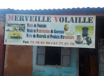 burkina-faso/gourcy/shop/merveille-volaille