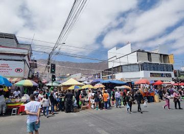 chile/antofagasta-region/shop/las-pulgas
