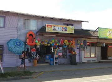 chile/los-rios-region/shop/importadora-din