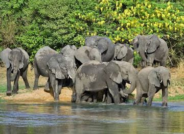 nigeria/owu-forest-reserve/shop/yankari-game-reserve