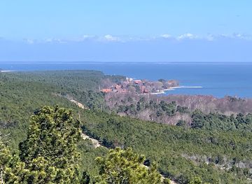 lithuania/lithuanian-seaside/shop/vecekrug-dune