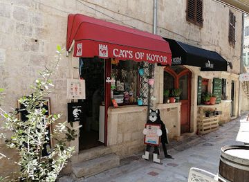 montenegro/piva/shop/cats-of-kotor