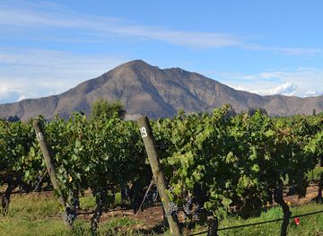 chile/maipo-valley/shop/vina-de-martino