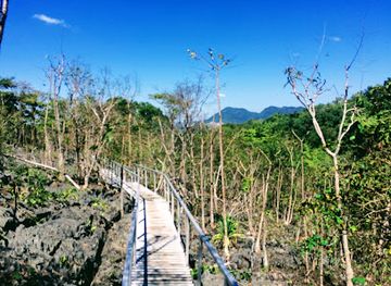 thailand/phetchabun-mountains/shop/phu-khao-hin-pakarang-coral-mountain